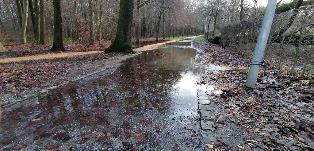 Weihnachten 2023. Trimmpfad an den Fischteichen in Paderborn mit Seenplatte.